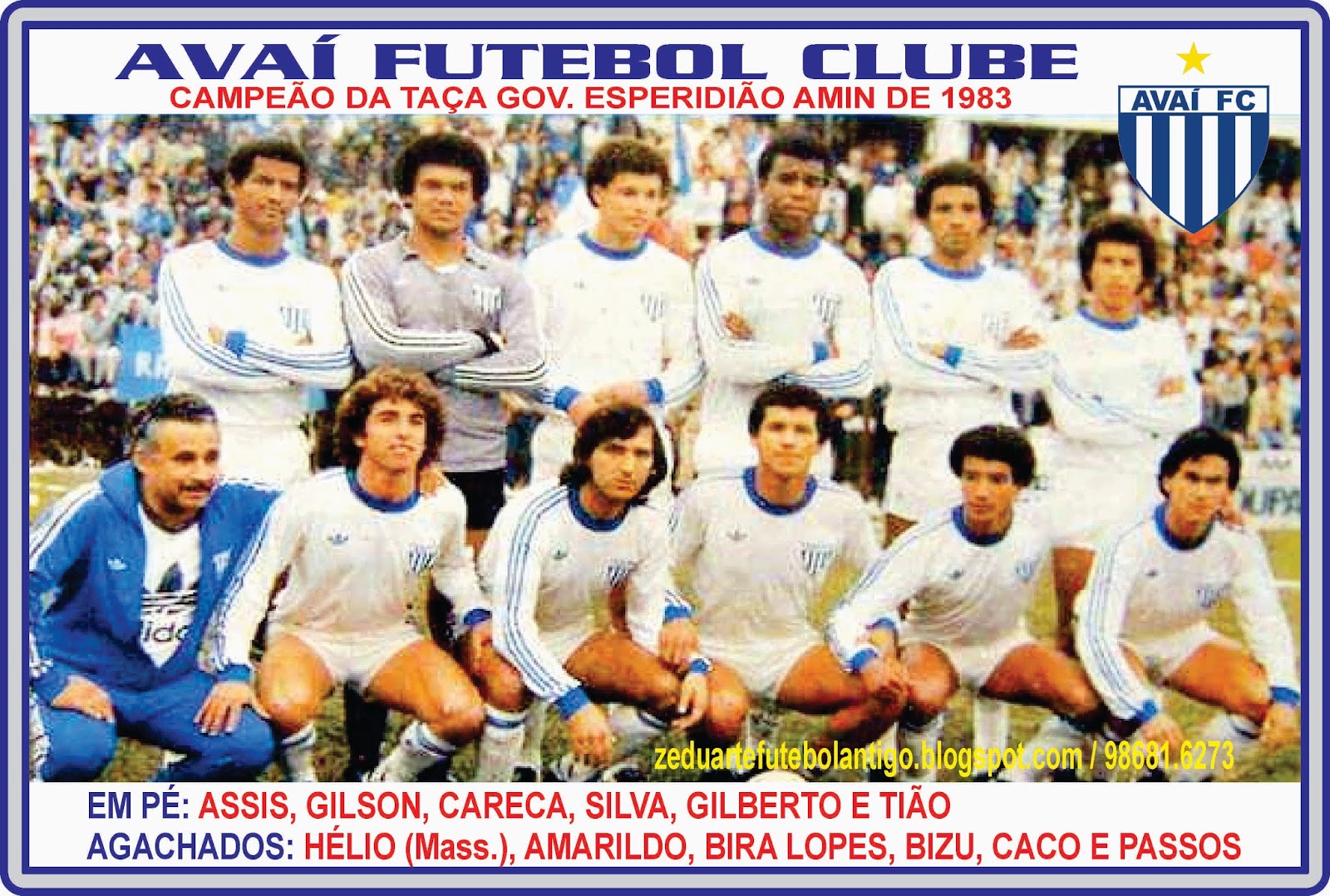Avaí Futebol Clube Avaí Futebol Clube