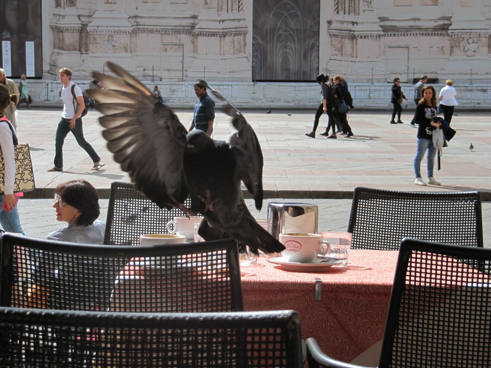 A Venezia Con Un Piccione In Testa