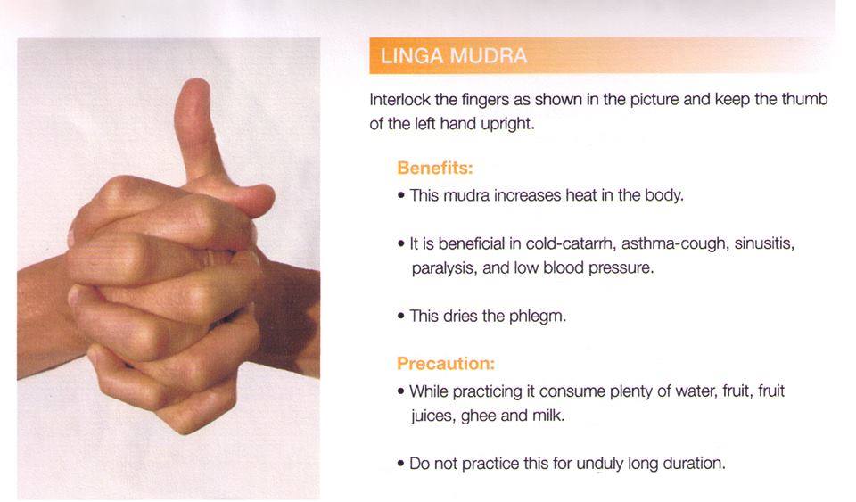 HEALTH BENEFITS WITH PRANA MUDRA LINGA MUDRA SURYA MUDRA