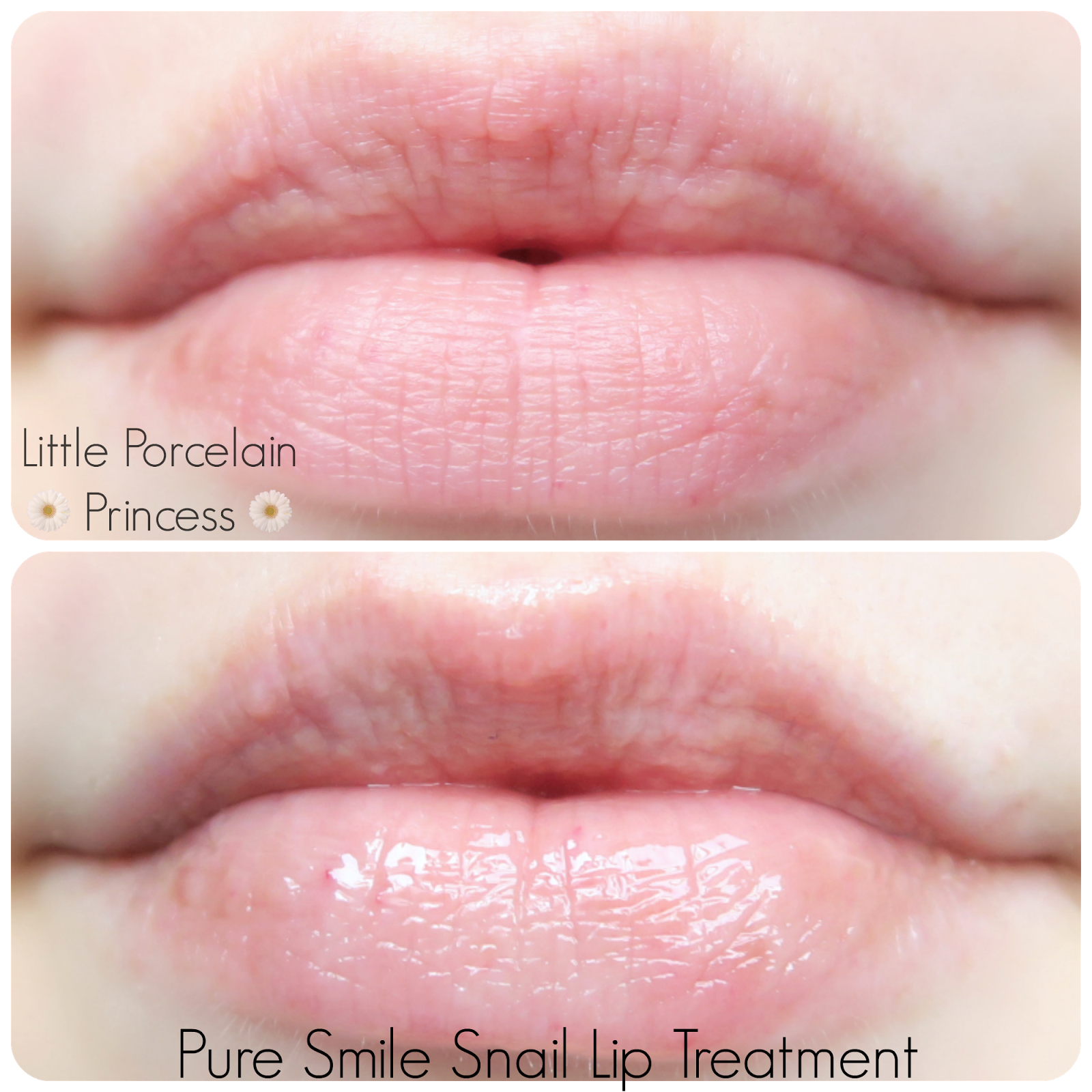 Little Porcelain Princess Review Overnight Lip Mask Comparison