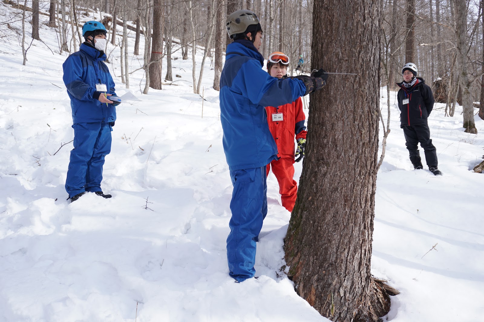 デジタル時代の持続可能性にどう貢献するか? PDF のベスト プラクティス – 効率的なアーカイブとストレージの実践