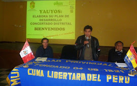 ELABORANDO EL PDC DE YAUYOS (DISTRITO)