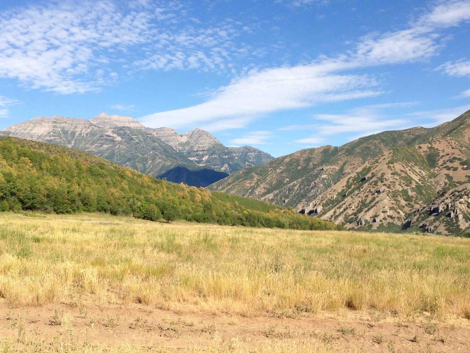 Rocky Mountain Bushcraft Photo Post Hammock Camping in the Utah