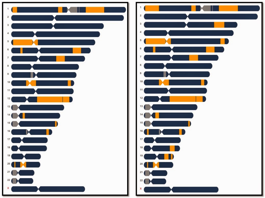 Your Genetic Genealogist: The Folly of Using Small Segments as Proof in ...