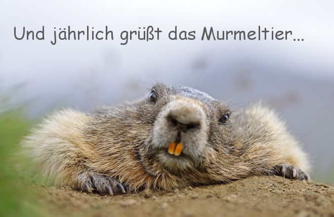 Boulderschof Und jährlich grüßt das Murmeltier...
