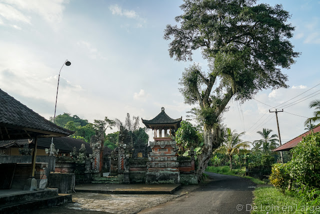 Région Tegallalang - Bali