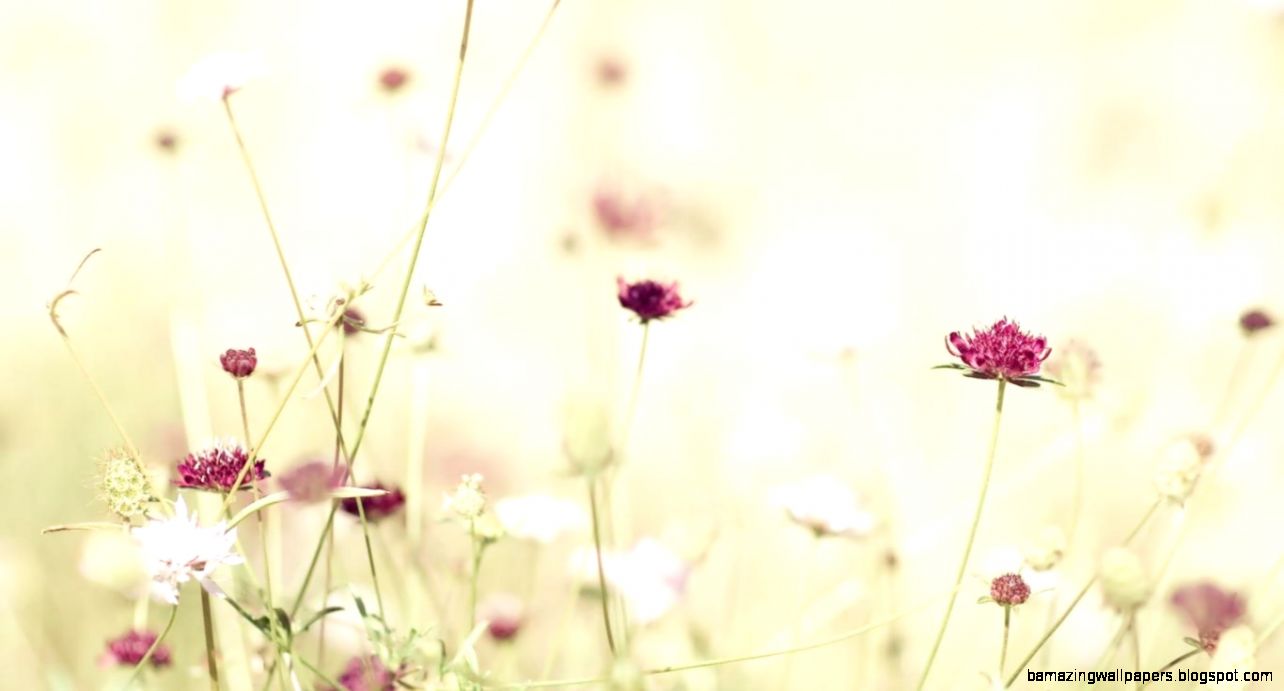 1920x1080 Tumblr Browser Themes  Desktop Background