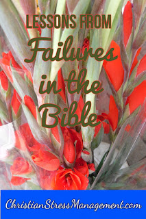 Lessons from failures in the Bible
