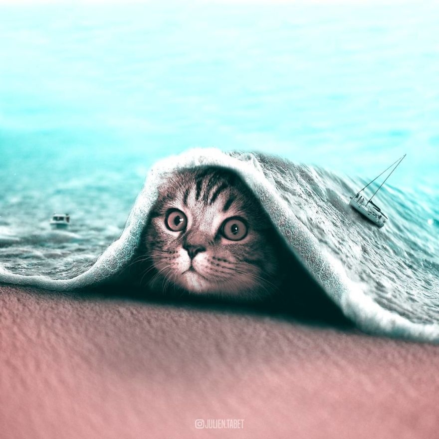 10-Guilty-Cat-Hiding-Julien-Tabet-Animals-and-Architecture-Photoshopped-Surrealism-www-designstack-co