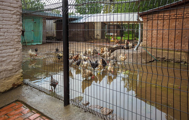женский монастырь на реке волхов. Смотреть фото женский монастырь на реке волхов. Смотреть картинку женский монастырь на реке волхов. Картинка про женский монастырь на реке волхов. Фото женский монастырь на реке волхов женский монастырь на реке волхов. Смотреть фото женский монастырь на реке волхов. Смотреть картинку женский монастырь на реке волхов. Картинка про женский монастырь на реке волхов. Фото женский монастырь на реке волхов