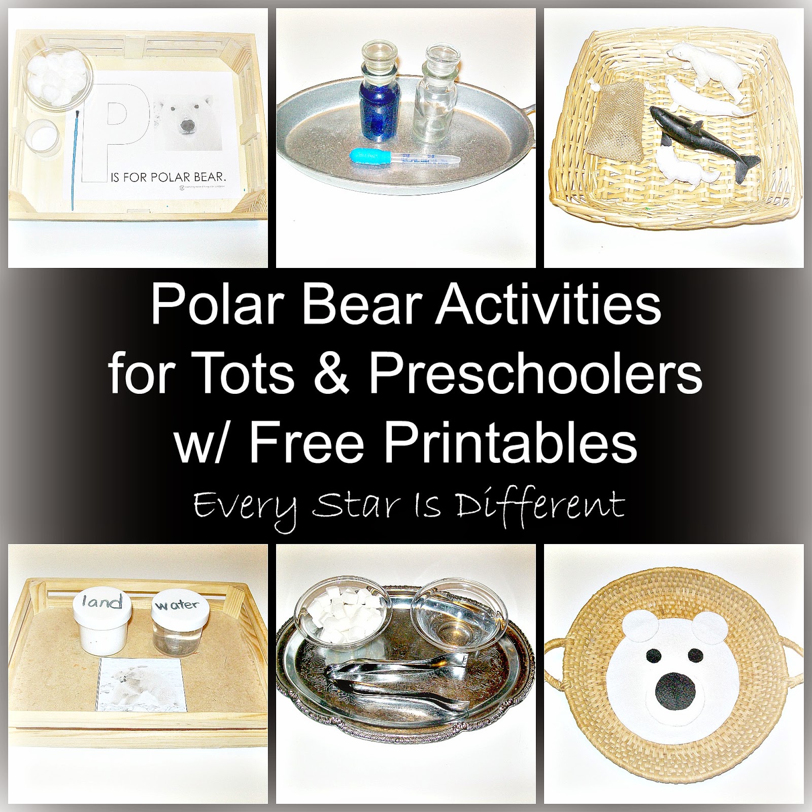 Polar Bear Acivities for Tots & Preschoolers