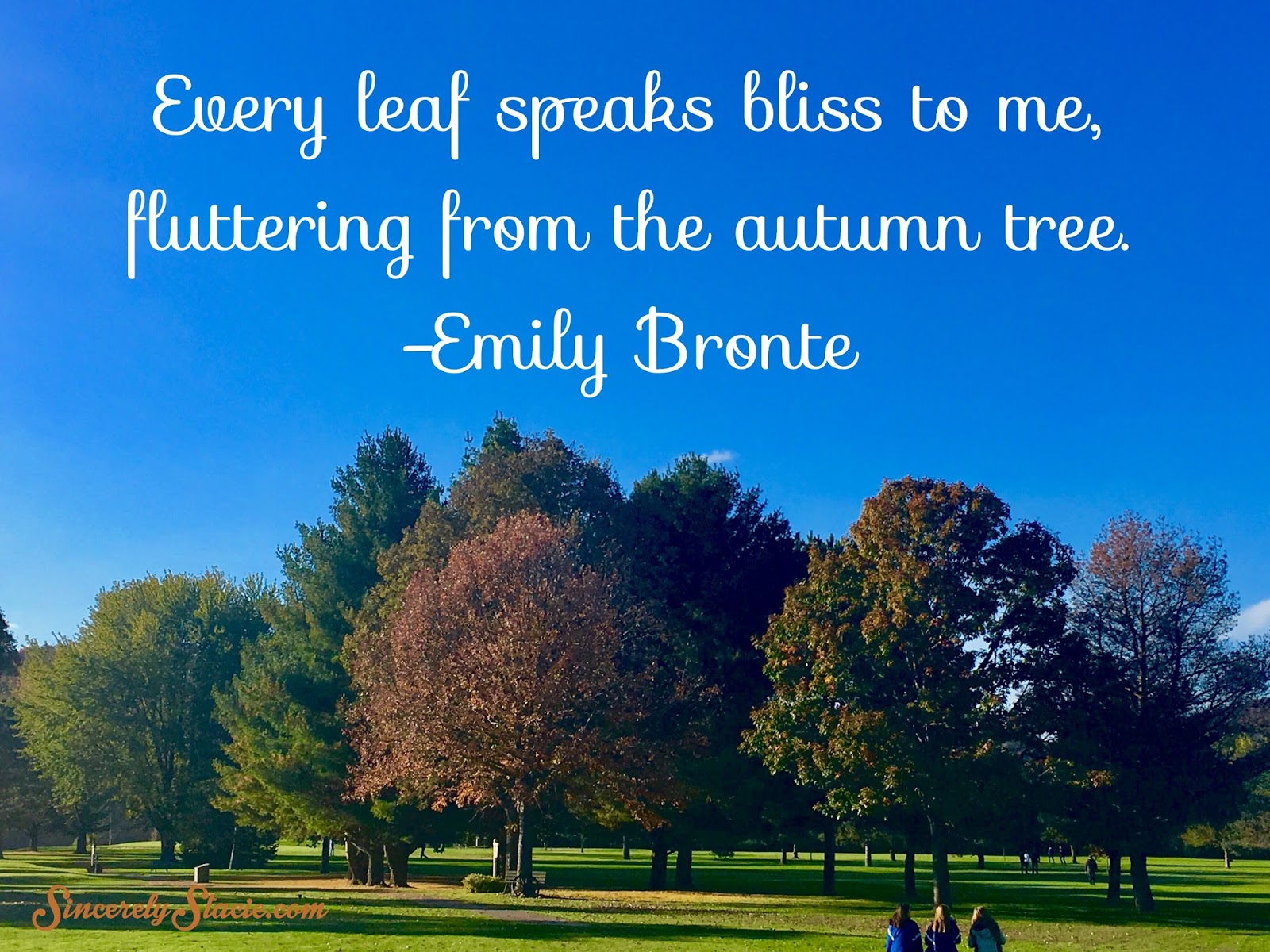 Enjoy the Beauty of Your Day - Sincerely Stacie, image size:1600x1200