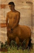 Centaurs, a Tribute