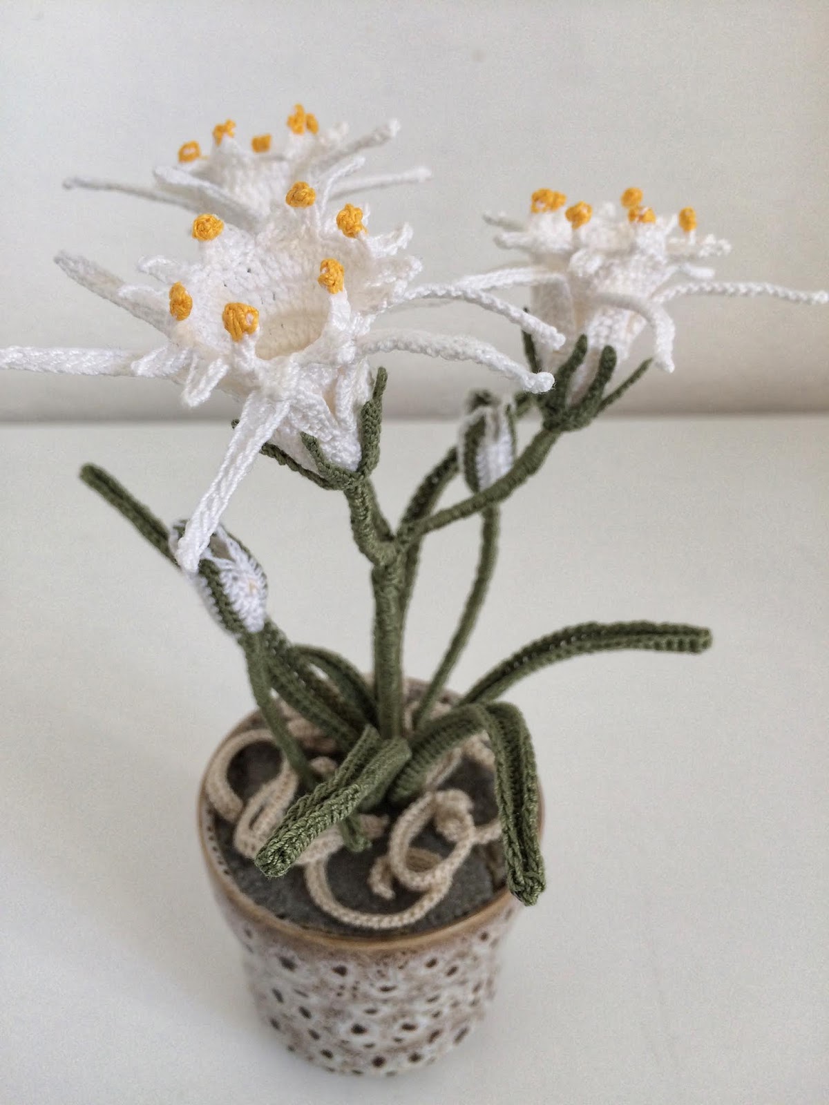 Il Blog Di Sam How To Crochet A Sea Lily
