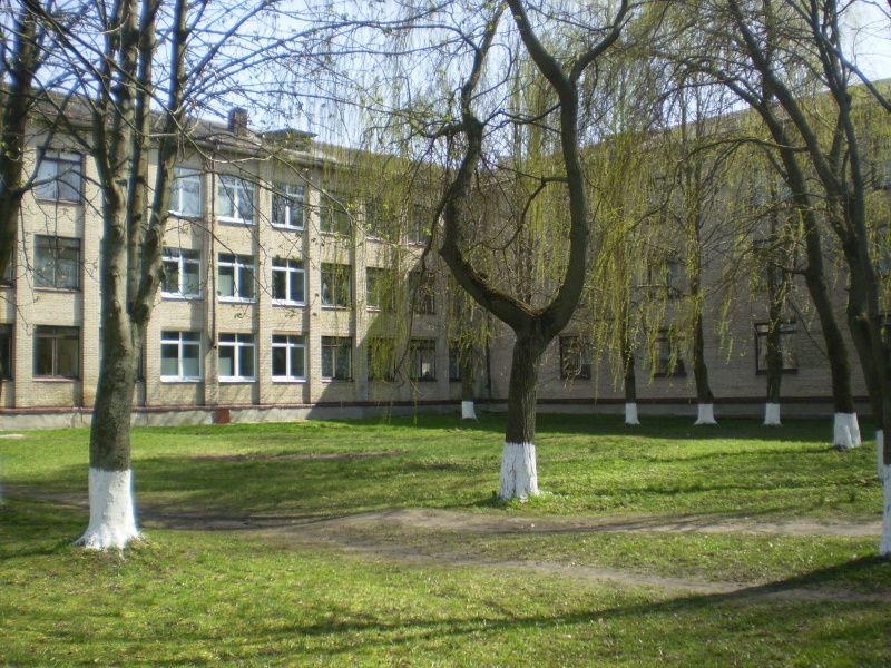 Польская школа волковыск. Сш волковыск. Сш волковыск. Сайт сш 4 новогрудка. Шопена.