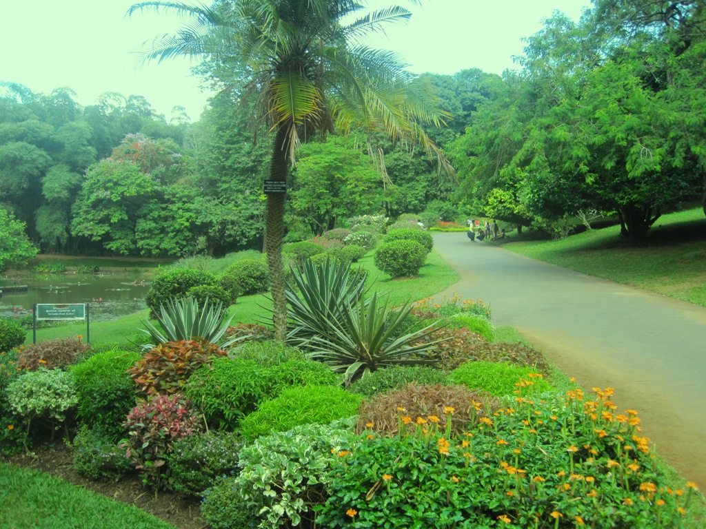 Eden Sri Lanka Peradeniya Botanical Garden Part 01