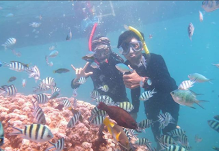 karimunjawa wisata-karimunjawa
