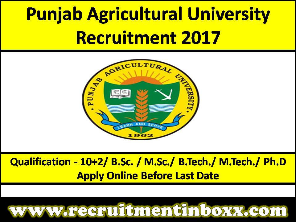  Punjab Agricultural University Recruitment