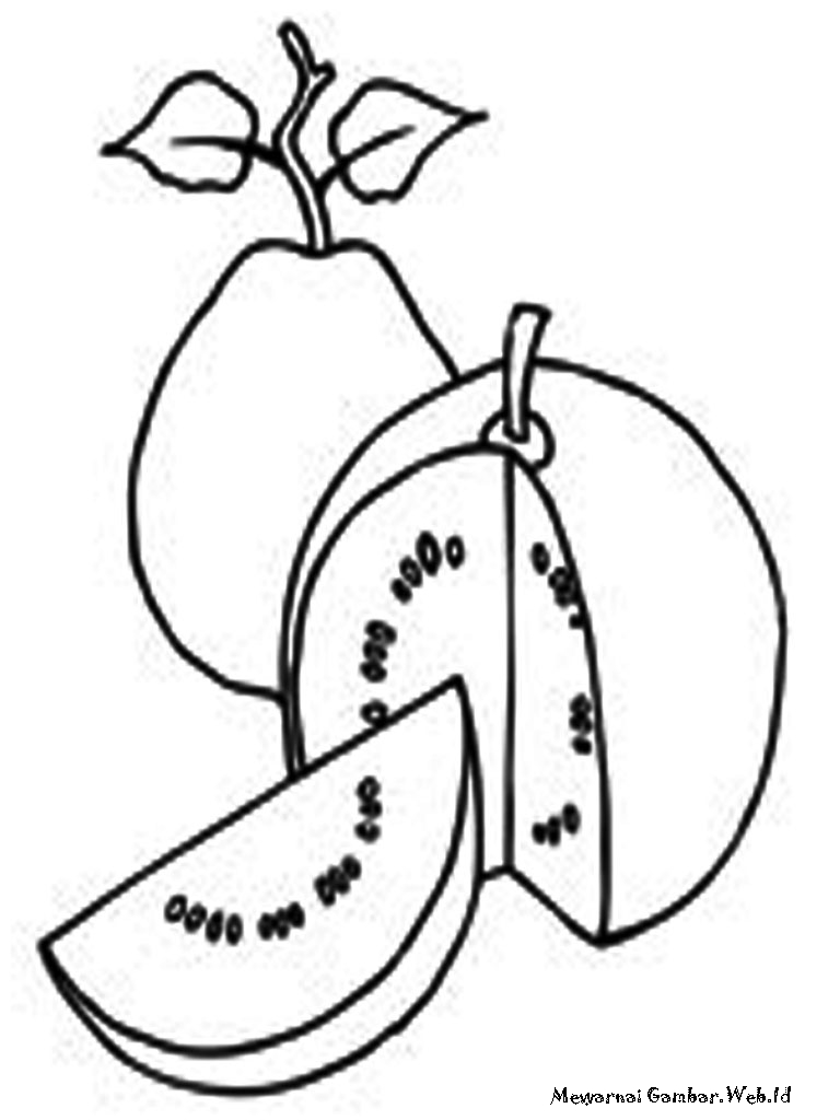 45+ Gambar Tanaman Jambu Biji Kartun Paling Dicari - Informasi Seputar