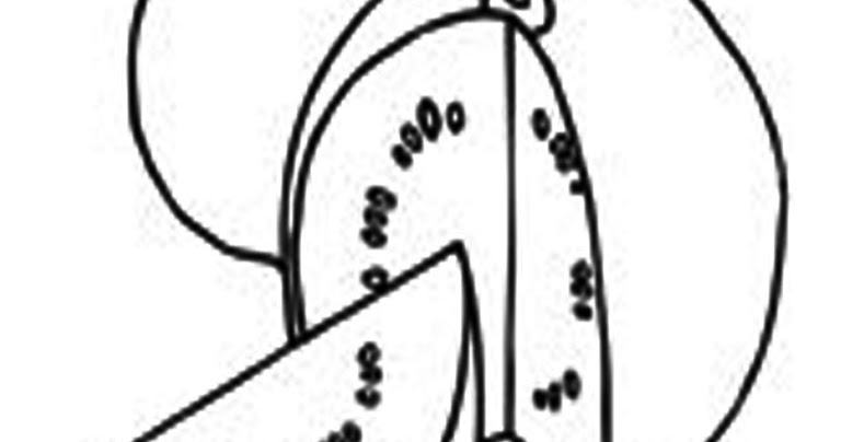 gambar mewarnai buah jambu 