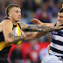AFL Preview Round 13: Cats v Tigers