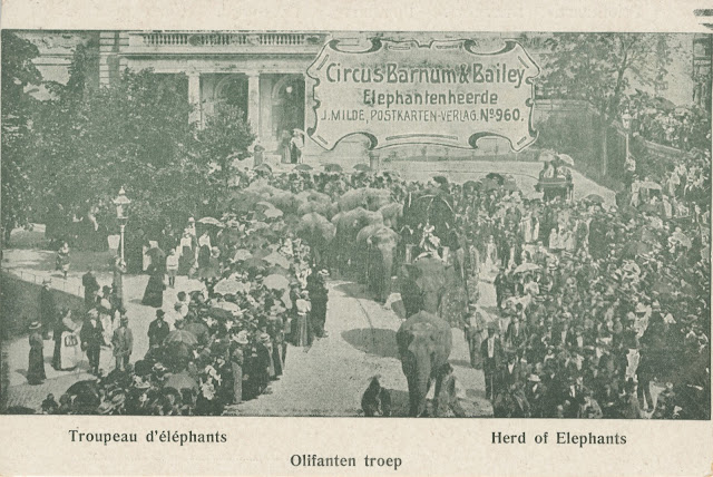 Troupeau d'éléphants du cirque Barnum & Bailey 1902