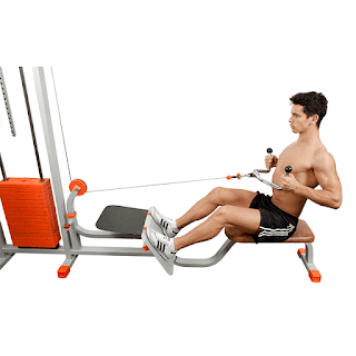 Seated_Rows_4_sets_and_12/10/8/6_reps Seated_Rows_4_sets_and_12/10/8/6_reps