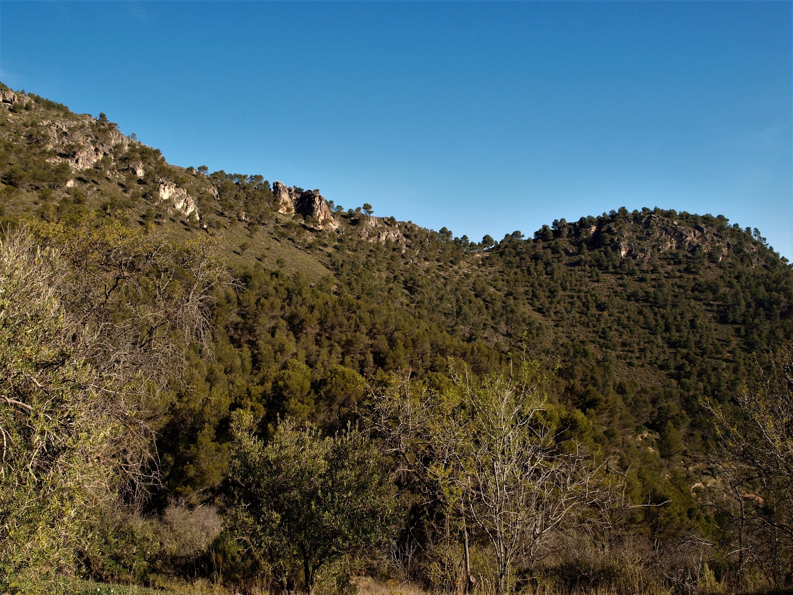 Foto de Área recreativa Los Pinos en Colomera, Granada