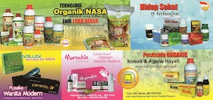 Tentang Kami Tentang Kami