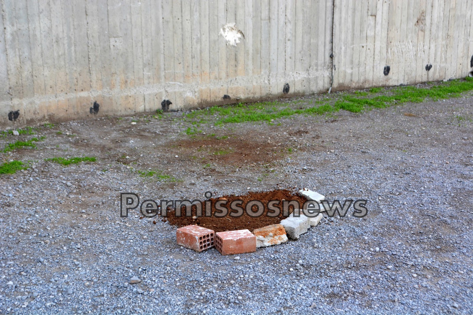 DSC 1221 | Lamianow.gr