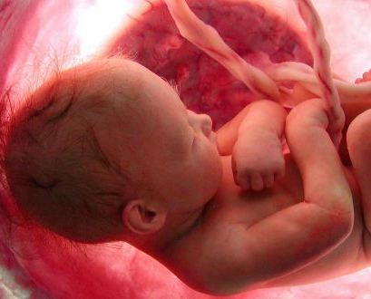 ESTE APOSTOLADO É TOTALMENTE CONTRA A DESGRAÇA DO ABORTO