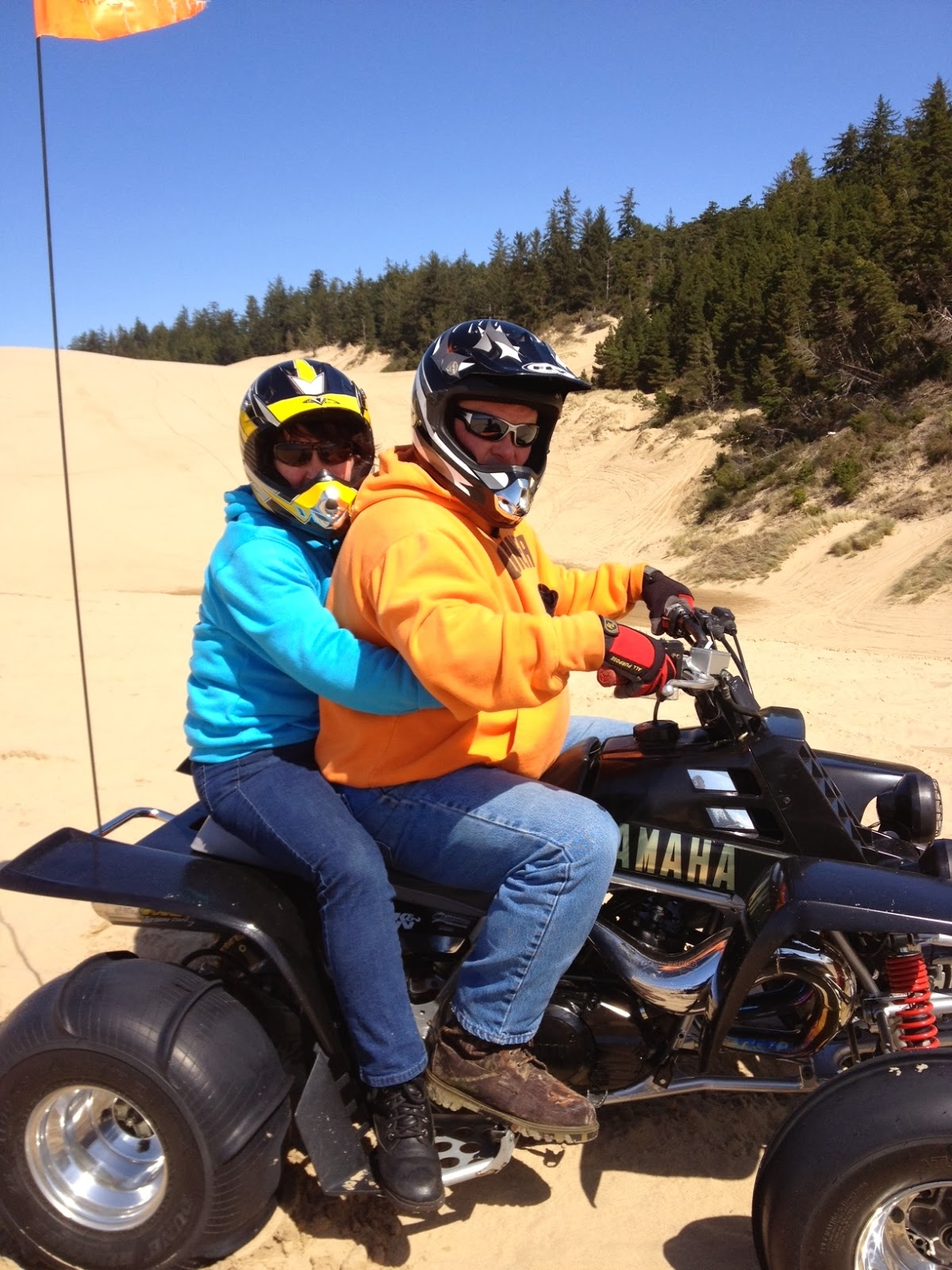 FREE JULIE: Accountability - Food Tracking