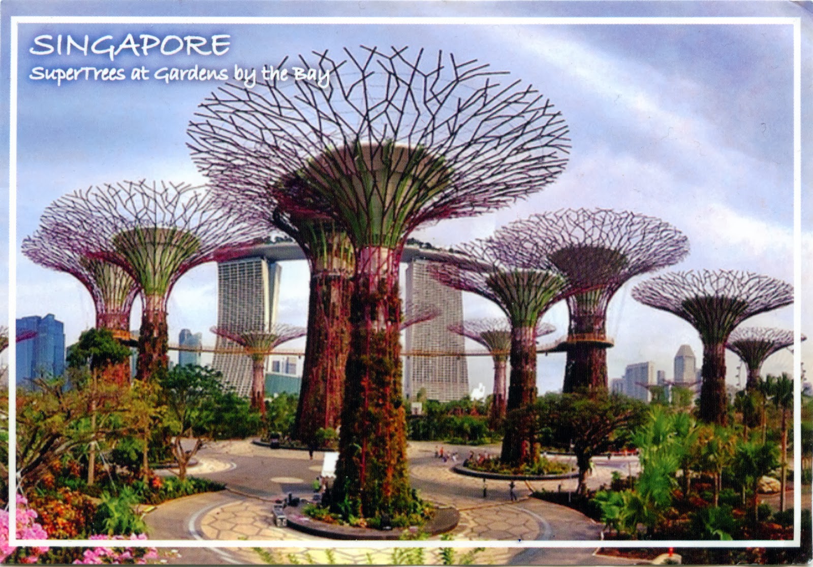  , COME TO MY HOME!: 0974 SINGAPORE  Supertrees in Gardens by the Bay
