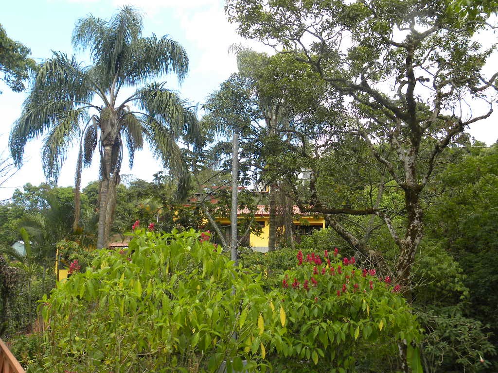 The Aspiring Expats La Terraza B&B Grecia Costa Rica Black in