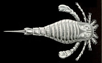 Eurypterus