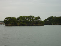 A flat and short island in matsushima bay covered in pine trees
