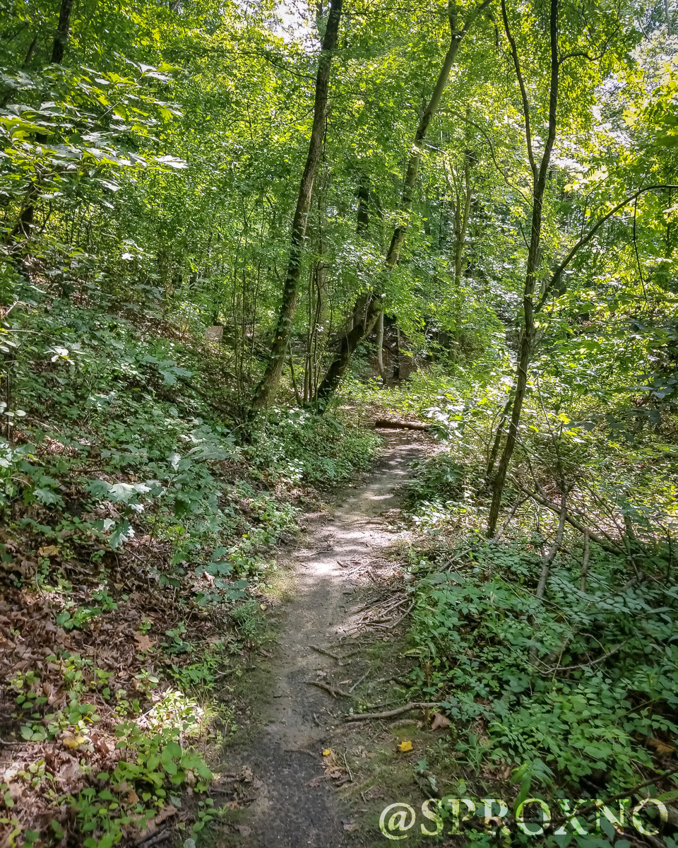 Woods of Wenonah Trail Pushing Myself