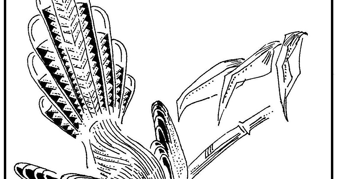 Contoh Gambar Stilasi : Pin di Gambar Dekoratif Hewan Tumbuhan dan