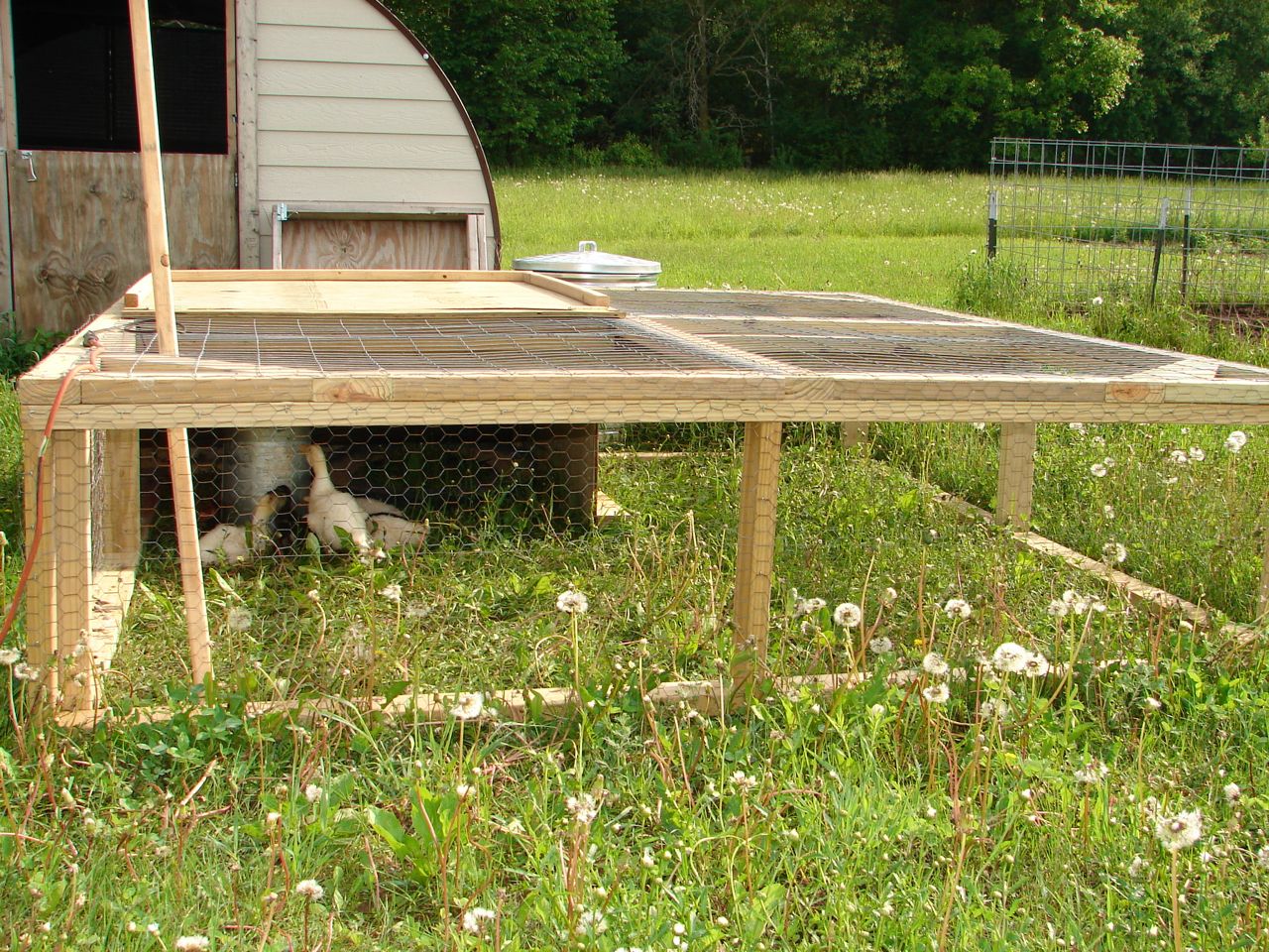 Amy's Passions A morning tour of the hobbyfarm...