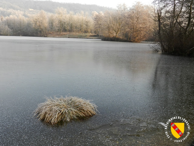 MESSEIN (54) - Les étangs saisis par le gel : l'étang Mercier
