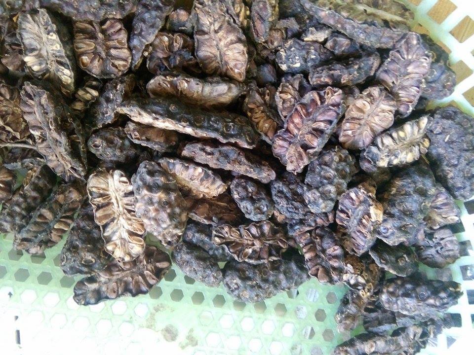 Dried Noni Fruit