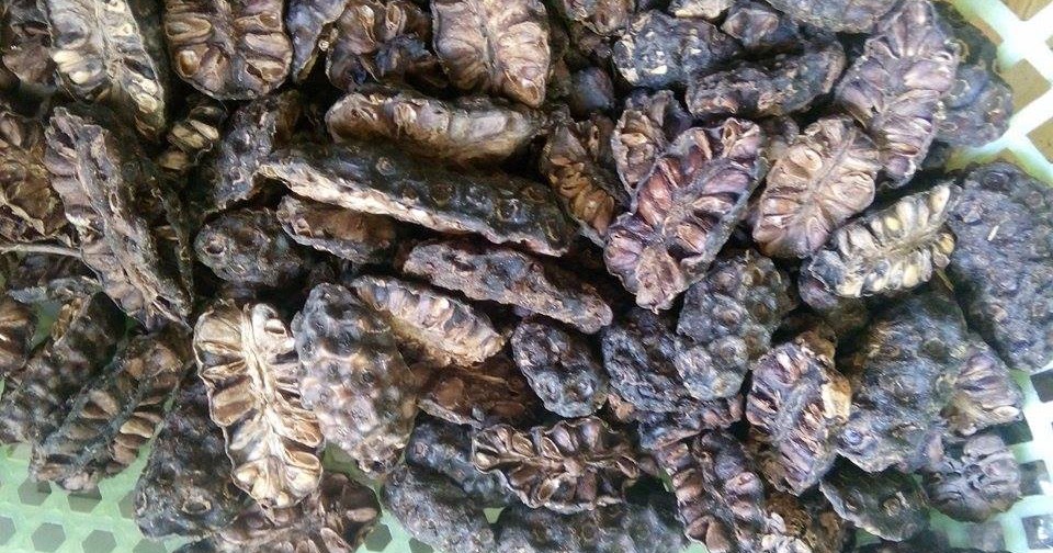 Dried Noni Fruit
