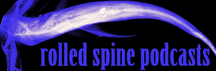 rolled spine