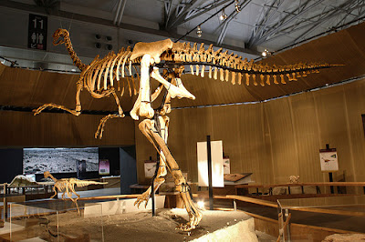 Esqueleto Gigantoraptor