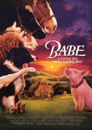 Babe 1995 BluRay 480p Hindi Dual Audio 300Mb