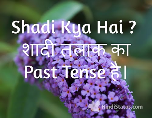 Divorce is Past Tense.. - HindiStatus