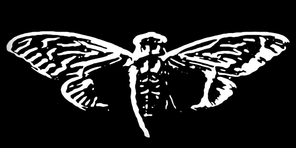 لغز-Cicada-3301