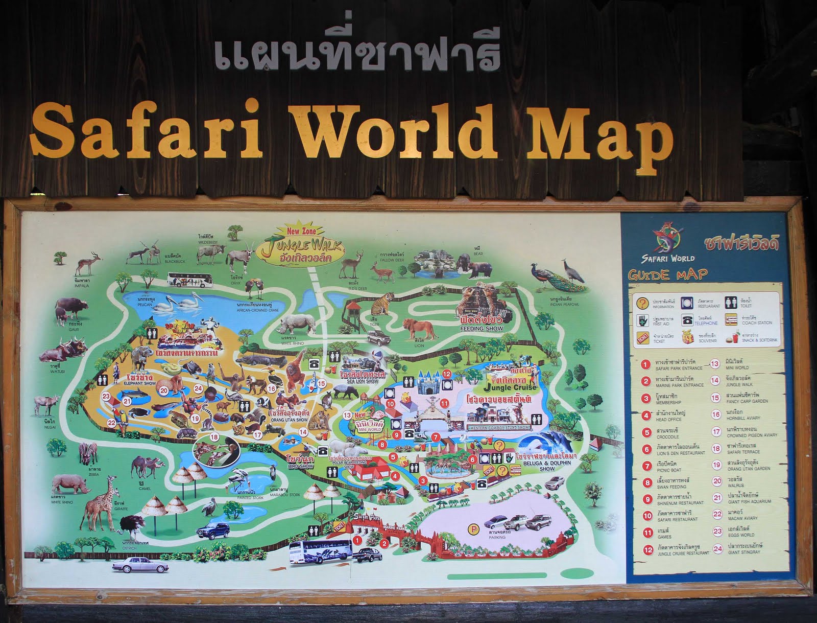 FUN IN THAILAND SAFARI WORLD BANGKOK THAILAND fun-in-thailand-safari-world-bangkok-thailand