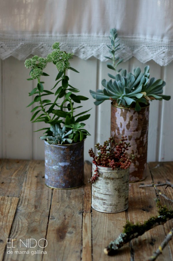  tree bark flower pot