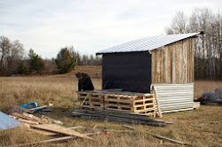 building chicken coop materials homesteading recycled homestead decided